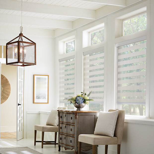 Transitional shades in a Dover living room